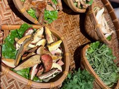 -滇野云南野生菌餐厅(陕西南路店)