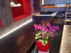 -京采烤鸭清真餐厅(金桥店)