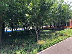 -浦江二号·独栋江景餐厅(滨江大道店)