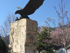 -北京鹫峰国家森林公园