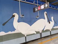 -红树湾(地铁站)