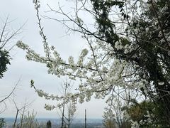 -樱桃山旅游景区