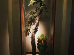 -觀芷隐轩