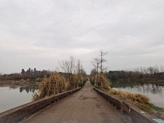-白鹭湾湿地公园
