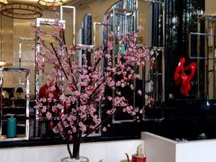 android_upload_pic-五洋假日酒店