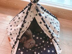 -iF摄影•全家福•证件照•形象照(南山店)