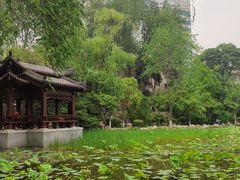 -莲湖公园