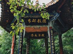 -昆明动物园