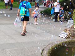 -晓港公园