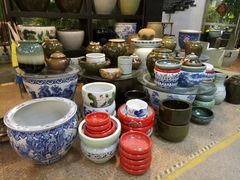 -双季花艺园艺市场(浦东店)