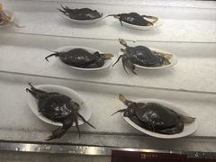 -雍和会海鲜姿造自助(湖东路店)