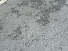 -巢爷老味(东方红店)