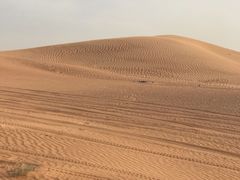 -迪拜沙漠冲沙