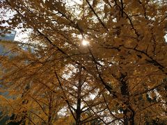 -辽宁大学(崇山校区)
