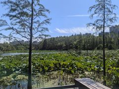 -昆山城市生态森林公园