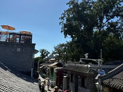 -Sirena海妖日咖夜酒