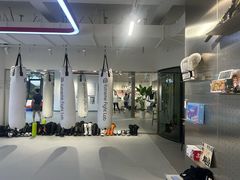 -EFL巴西柔术·综合格斗·泰拳·少儿体能训练(虹桥德必馆)