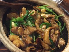-旺金鸽(穗盐路总店)