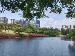 -深圳龙潭公园