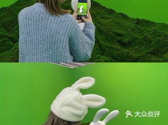 这只兔子️我可爱吗？！
