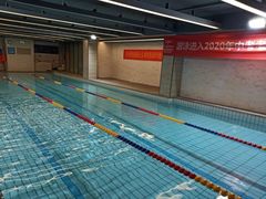 -金吉鸟健身游泳