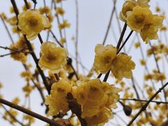 -西安化觉巷清真大寺