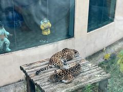 -乐和乐都主题乐园