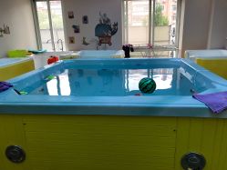 -鱼乐贝贝婴幼儿水育馆(京洲南街店)