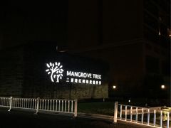 -三亚湾红树林度假世界(木棉酒店)
