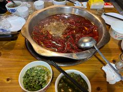 -金鼎雪山牦牛杂火锅(理县总店)