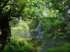 -Chom Cafe and Restaurant