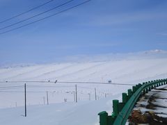 景点-祁连山草原