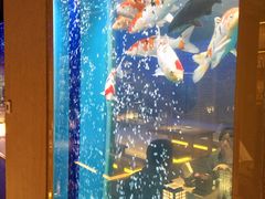 -琴寿司居酒屋(中山广场店)