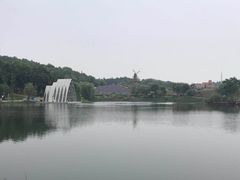-大塘金香草谷