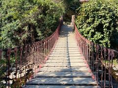 -梧桐山风景名胜区