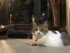-五月木作·DIY木作文创体验店(北京路店)