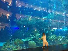 -成都浩海立方海洋公园