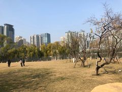 -西北湖绿化广场