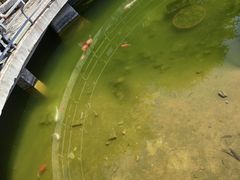 -石老人观光园