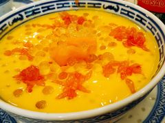 杨枝甘露-捷信牛奶甜品世家(五道口店)
