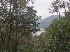-黔灵山公园