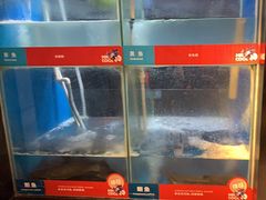 -鱼酷活鱼烤鱼(人信汇商场店)