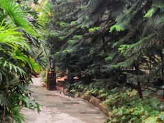 -龙达温泉生态城
