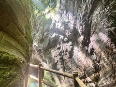 -牛背梁国家森林公园