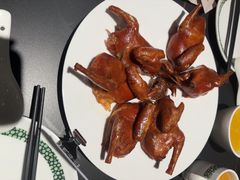 -三强鸽子(中原路店)