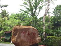 -三亚海棠湾南田温泉神龙谷