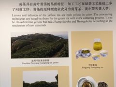 -中国茶叶博物馆(双峰馆区)