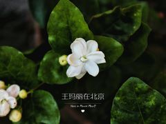 景观位-三岔涧农家乐