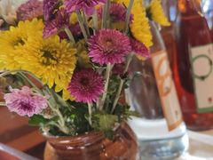 -木王宴语·野生鲜菌火锅(玉河店)
