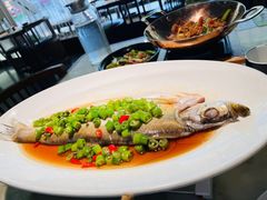 -绿茶餐厅(青岛城阳万象汇店)